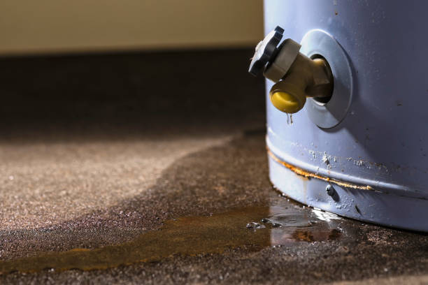 Best Mold removal after water damage  in Clarkson Valley, MO