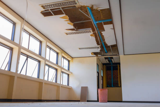 Best Water damage restoration near me  in Clarkson Valley, MO