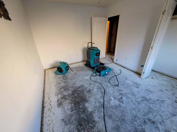 Best Flood damage cleanup  in Clarkson Valley, MO