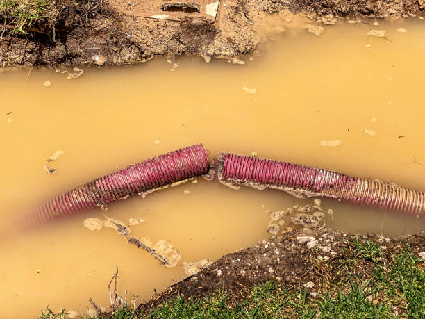 Best Water damage restoration near me  in Clarkson Valley, MO